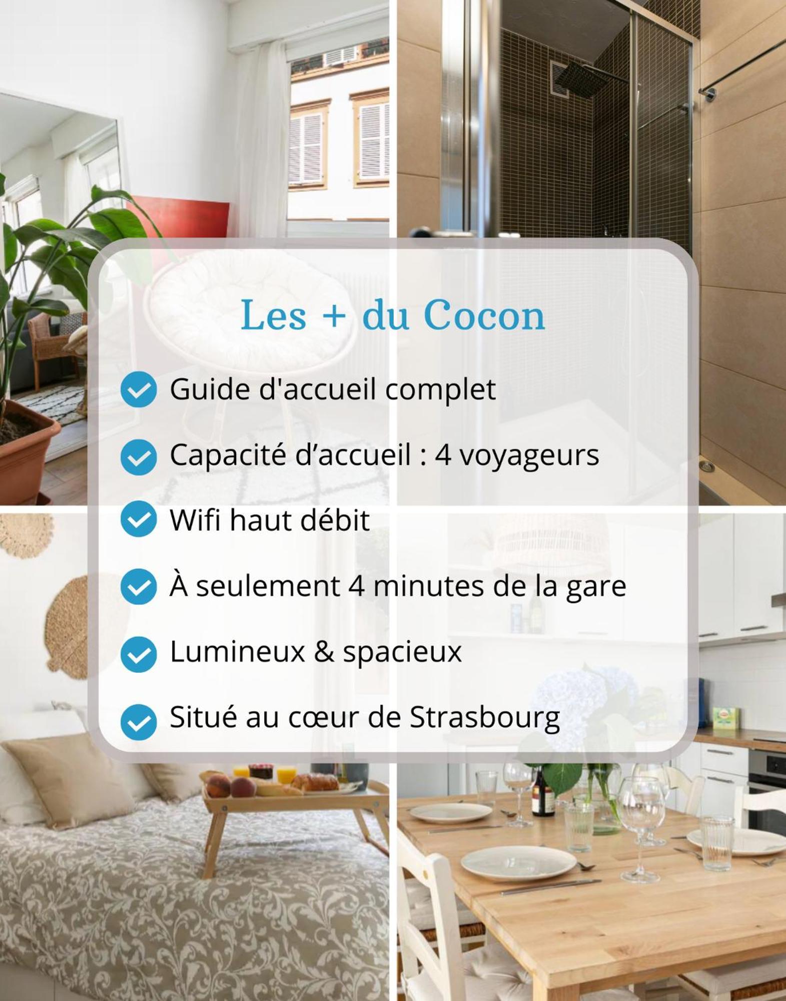 Le Cocon - Proche Gare - Lumineux & - Commerces A Proximite Appartement Strasbourg